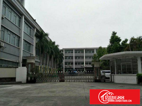 大亚湾西区标准厂房出租一楼800平