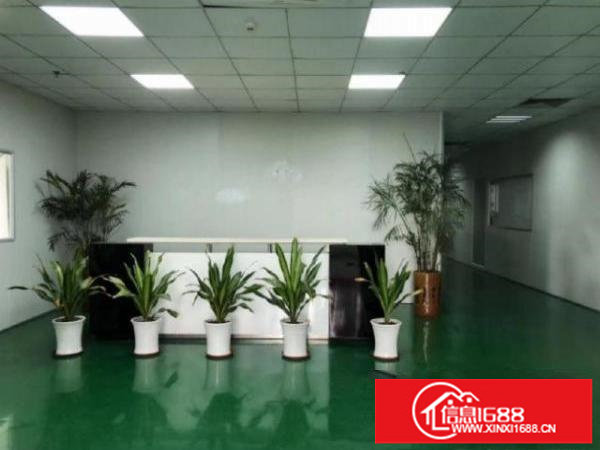 龙岗同乐工业区带装修2楼820平方厂房出租带装修