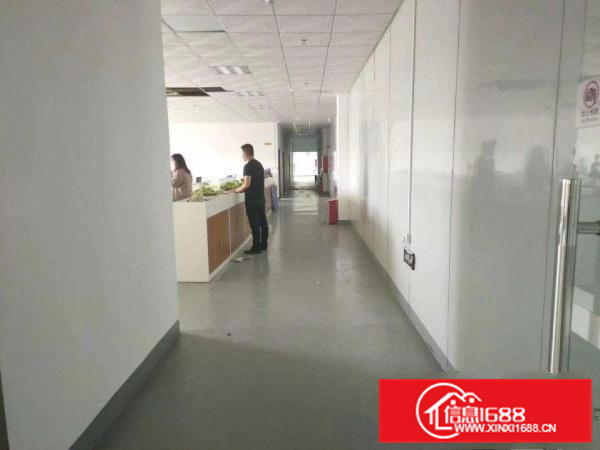 新出独栋厂房，形象好，