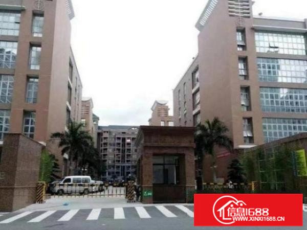 清溪罗马村楼上300平精装厂房出租，双行电梯