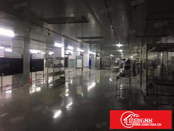 二三楼各1500平，现成万级无尘车间，所有线路齐全，