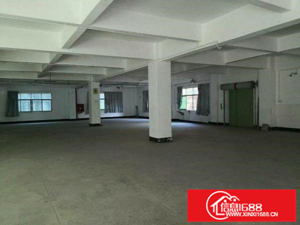 坪山5000平方厂房便宜招租，可分租