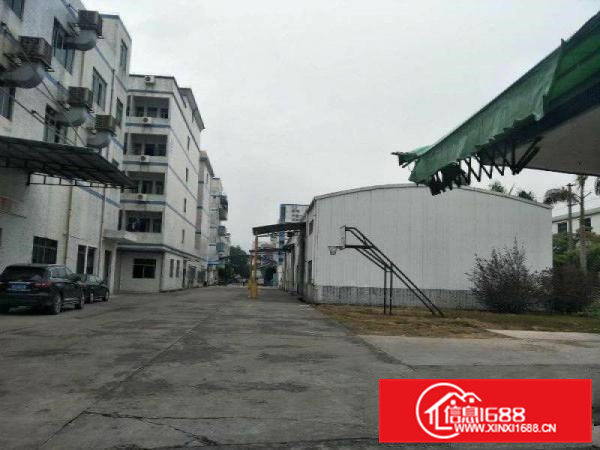 清溪原房东9000平方标准独院厂房出租