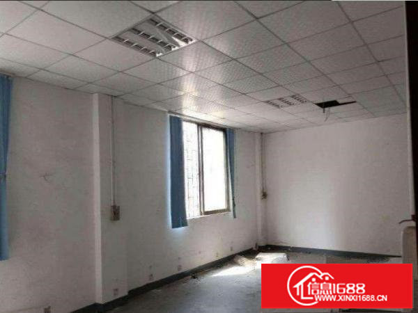 出租龙岗坂田新出750平标准二楼，带电梯，可环评