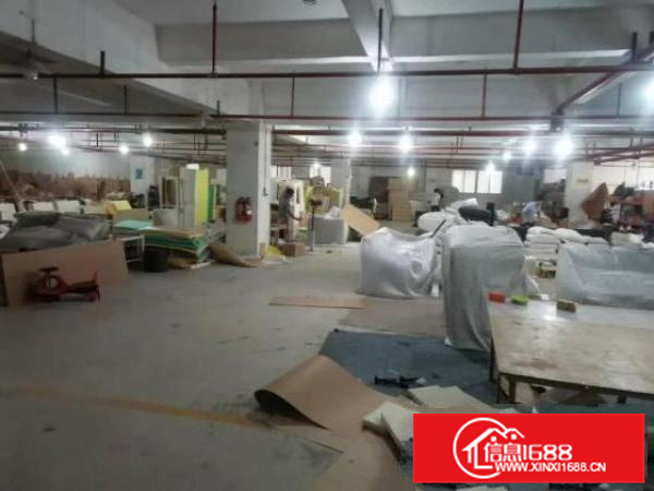 乐从新隆工业园区独院厂房出租12000平方