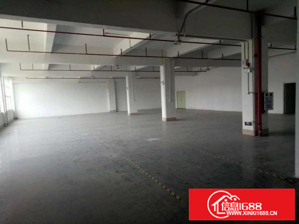 塘厦原房东红本独院厂房直租