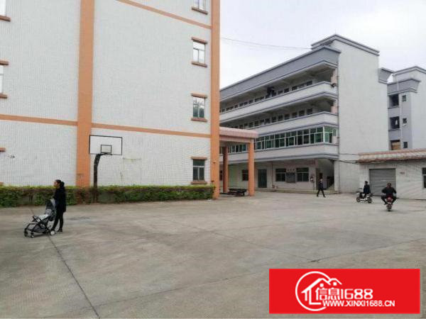 东坑新出花园式厂房出租独门独院