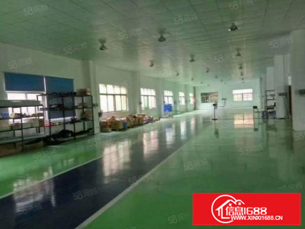 好招工可办环评容桂标准1500方带精装修a