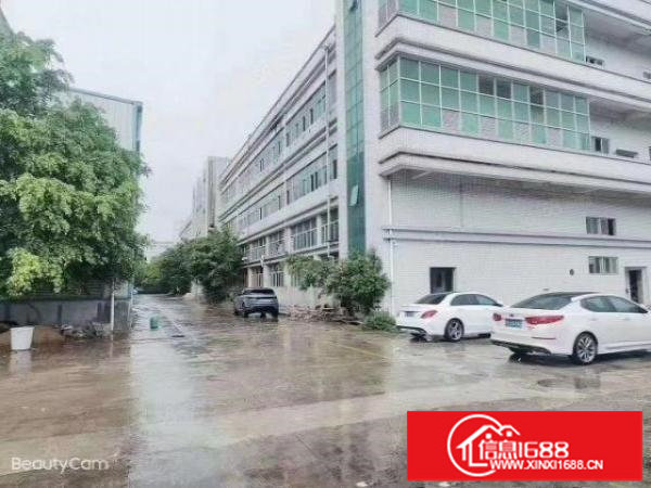 光明靠沙井松岗15000平米红本独院厂房出租1000平米分租