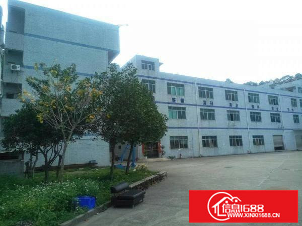 横岗大康沙荷路原业主1楼1500平厂房出租可分租