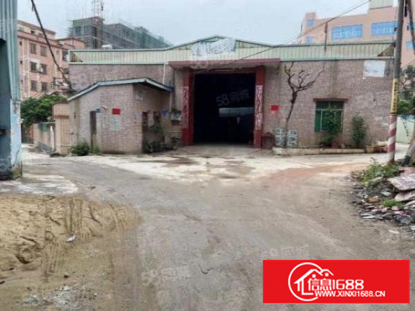 寮步镇竹园村单一层300平钢构铁皮厂房出租高6.5米带办公室