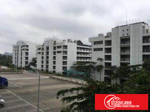 深圳坪山新出！！可商业可工业！坑梓新出12万平厂房可分租