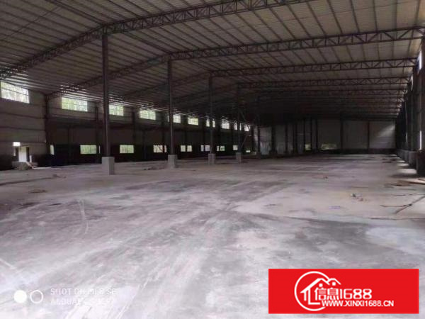 龙溪街道独门独院全新单一层滴水8.5米高3800平方厂房出租