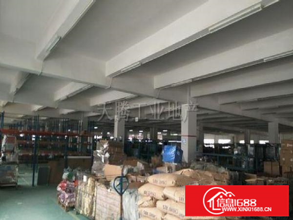 勒流富安3层标准厂房出租14000方，规划齐全