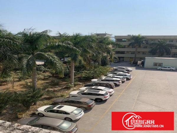 出租谢岗燕东工业区鼎嘉工业园厂房