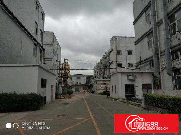 惠阳秋长白石标准一楼1500平已三通园区空地大