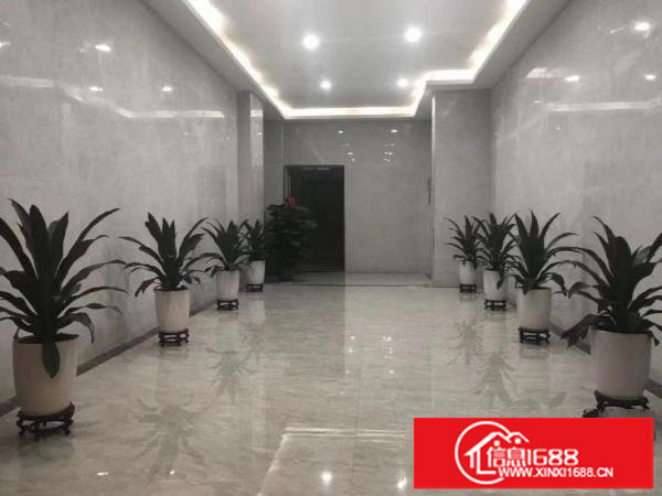 龙岗中心城龙西新出适合电商仓库厂房350平