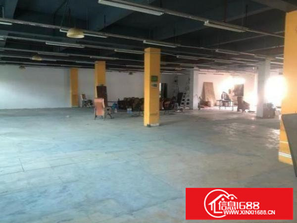 超低价厂房10元不到