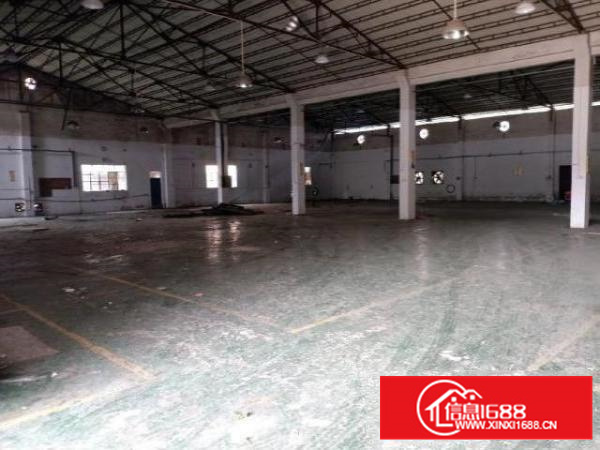 独院一楼高度9米形象