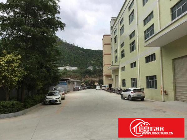 免佣临深3公里工业区独栋厂房滴水6米可做污染行业