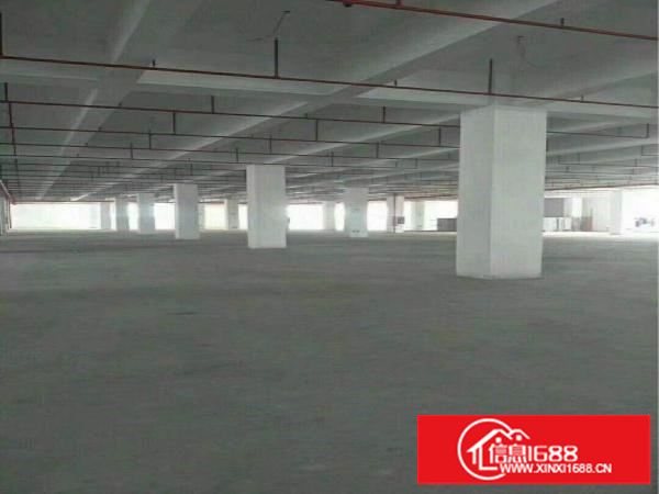 坑梓新出9成新独院厂房5000平米出租