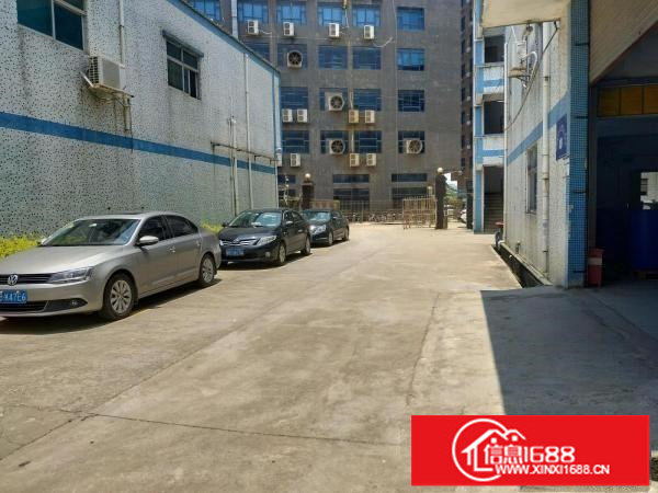 李松朗新出楼上1000平厂房