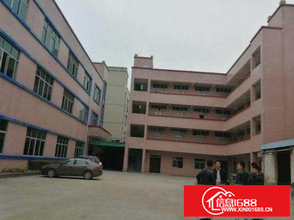 出租龙岗区龙东楼上1200平方楼上带消防喷淋厂房