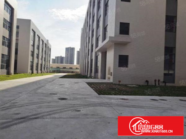 石碣镇全新科技园厂房招租1200方起分形象高大上空地超大