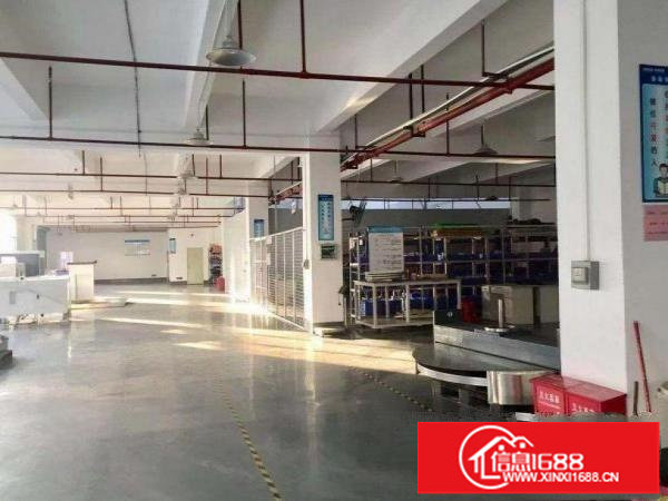 坂田新出2400平方整层厂房带装修可分租