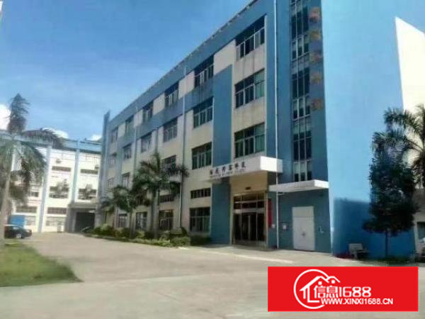 沙井新桥107国道二楼620平一楼930平原房东直租