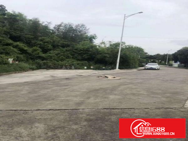 平湖新木村委附近2900平方9米高钢构出租，质优价廉