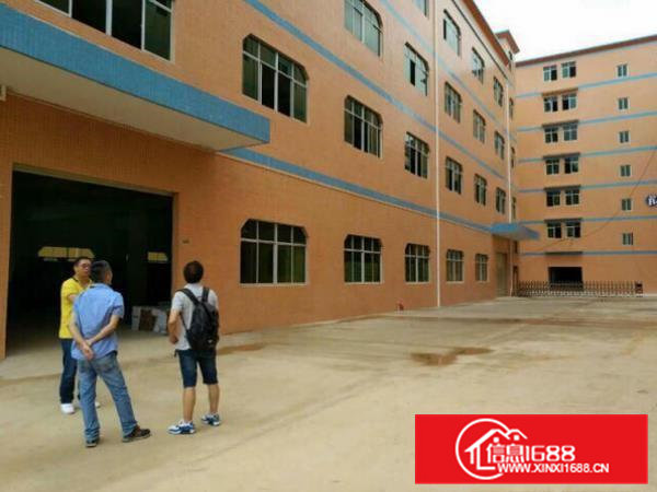 横沥长巷主干道边上二楼1000平方带装修