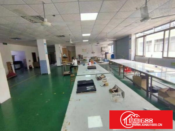 观澜福民楼上新出整层650平豪华装修带前天办公室装修