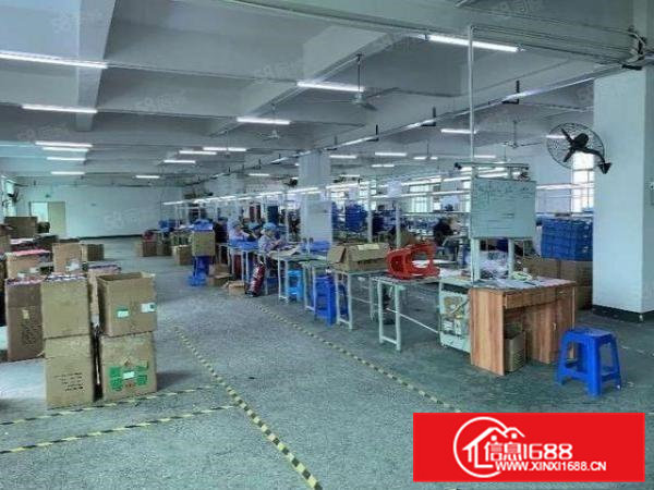 原房东标准独院厂房3层3600平方，工业集聚地，水电线路齐全