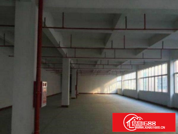 高埗.1000平超大超靓标准厂房分租好招工适合各类型小加工