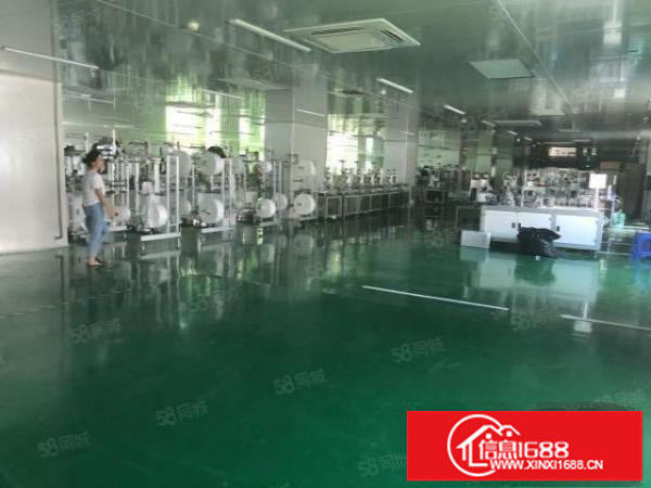 六约小面积红本厂房出租有装修200平300平分租