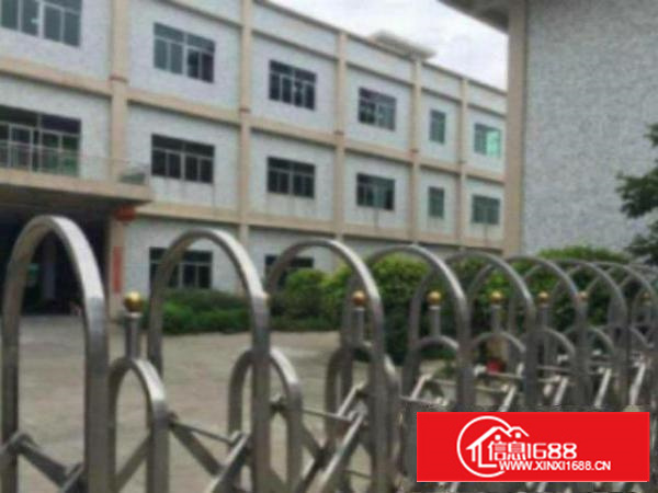 万江大型工业园一楼1700平??方标准厂房出租适合五金，模具