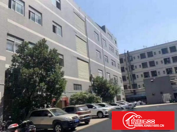 清溪长山头村1楼650平带行车公室，车间水电齐全出租