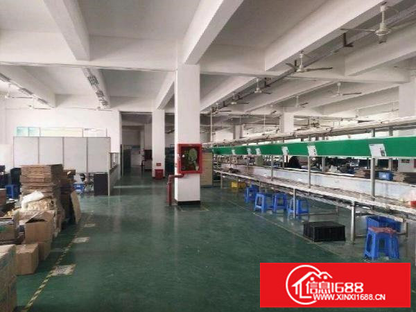 松岗广田路边塘下涌刚刚新出厂房1500平米招租