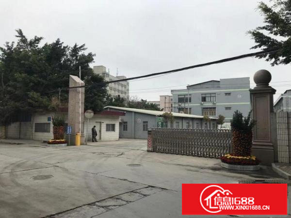 白泥坑超大独院厂房一楼200、300平方