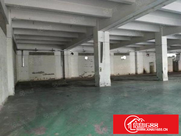 平湖清平高速口楼上便宜厂房出租一楼和四楼