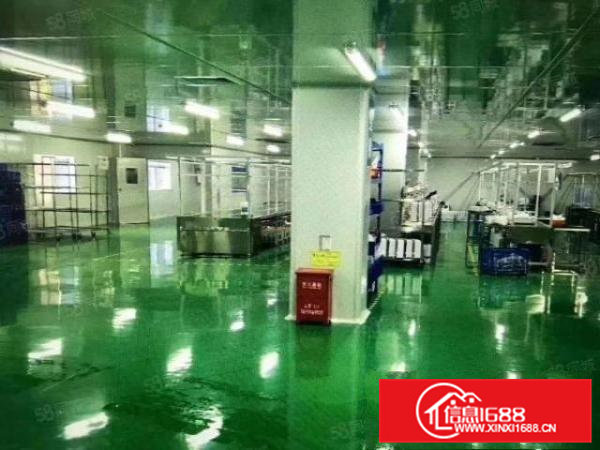 清溪镇原房东钢构独院厂房2700平方米出租7米高可分租无公摊