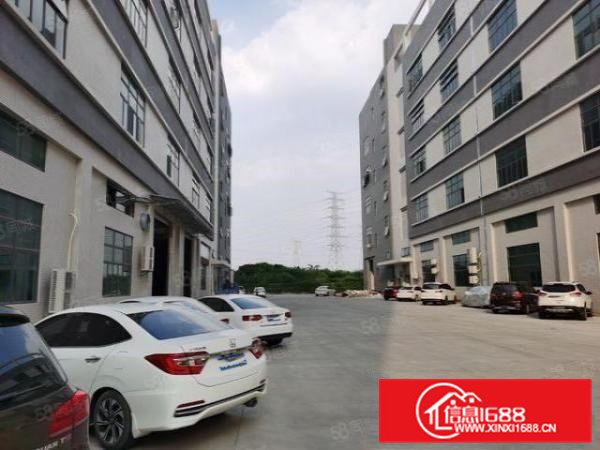 常平原房东独院厂房15000平对外招租（可以分租）全新厂房