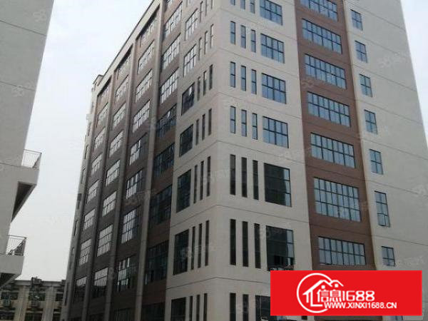 新出全新标准厂房，水电齐全，空地大，交通便利，易招工