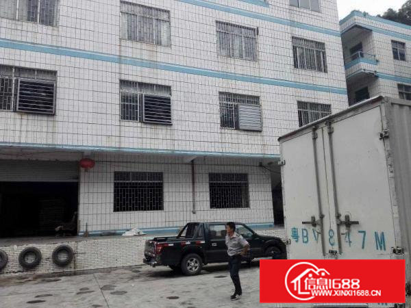 业主厂房出租可分租500---2500平方