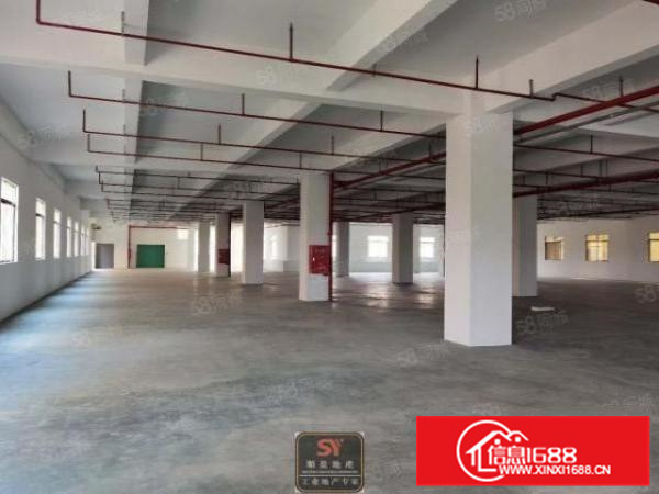 承重1吨，带消防喷淋，电大，乐从15600方全新标准厂房出租