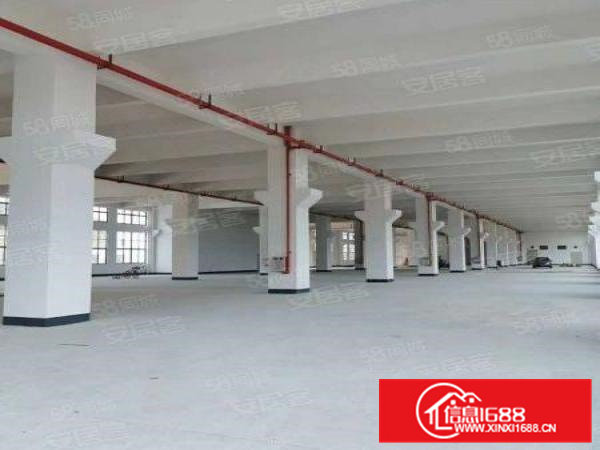 龙眼原房东全新厂房出租，可马上搬驻