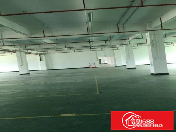 大岭山镇原房东园区新空出1600平一楼厂房出租