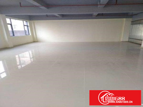 龙岗区高新产业园山街道独院200平起租厂房仓库出租