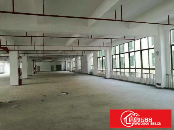 水口独栋新建标准厂房8300平方招租（可分租）